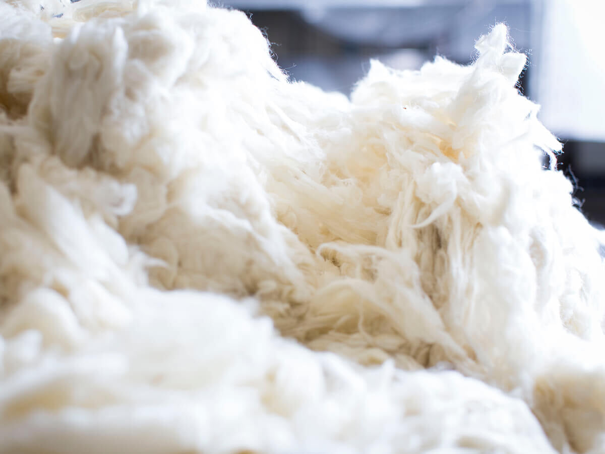 Lambswool Lambswool