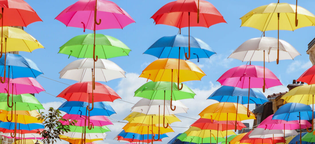 Summer's burst of colours
